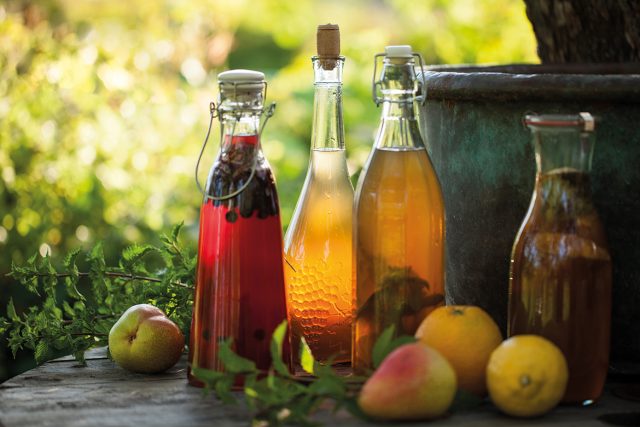 Le kombucha : du healthy !