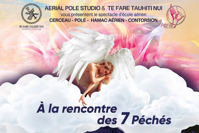 Rêvez plus haut avec AerialPole Studio