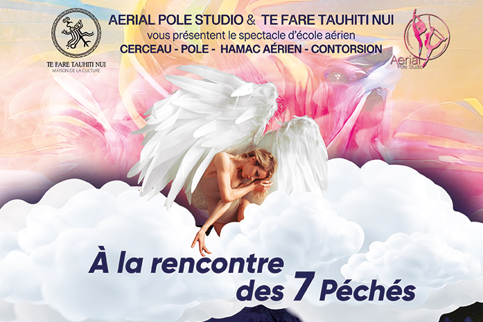 Rêvez plus haut avec AerialPole Studio