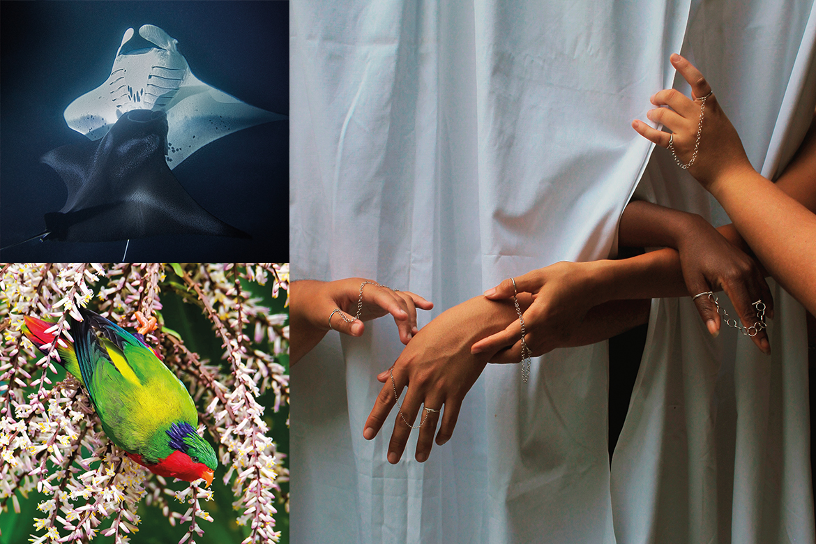 Hoho&rsquo;a : Exposition des talents