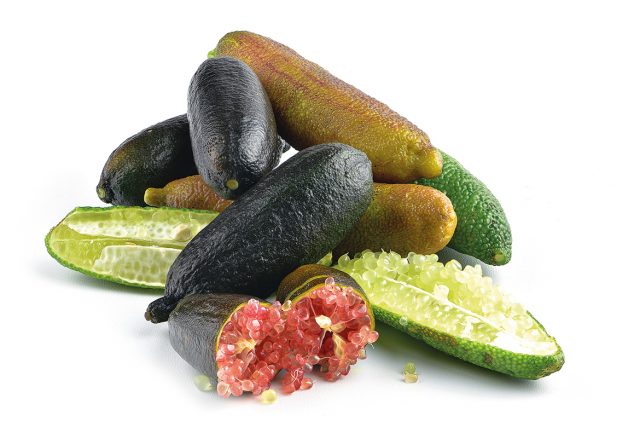 Le citron caviar, la perle des agrumes