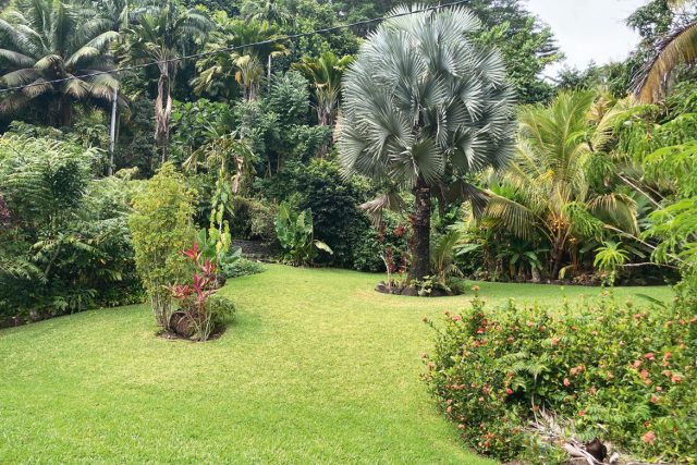 Côté nature à Mahina