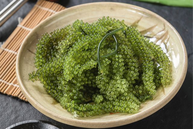 Les avantages nutritionnels du Remu Vine