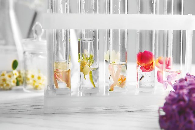 Dans les coulisses de la création d’un parfum