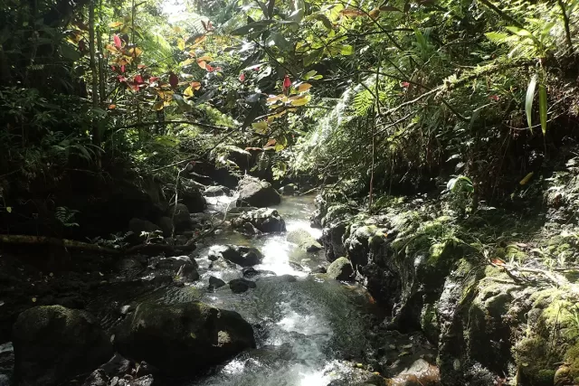Le nom des rivières de Tahiti
