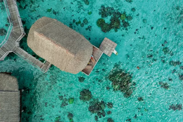 En mai, faites ce qu’il vous plaît au Sofitel Moorea !
