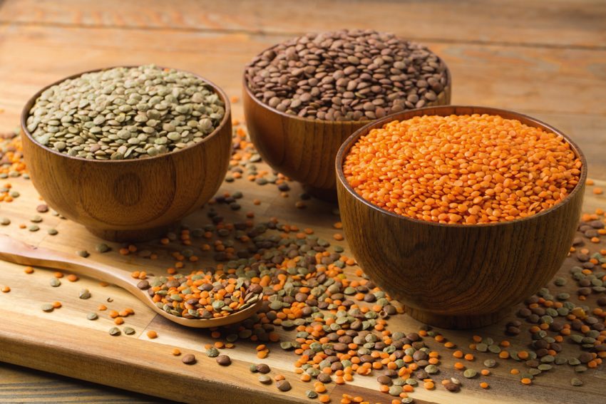 Les lentilles Petites, mais puissantes !