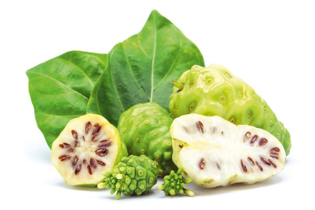 Le nono, un fruit surprenant aux propriétés régénérantes