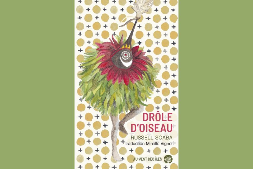 Drôle d’oiseau 