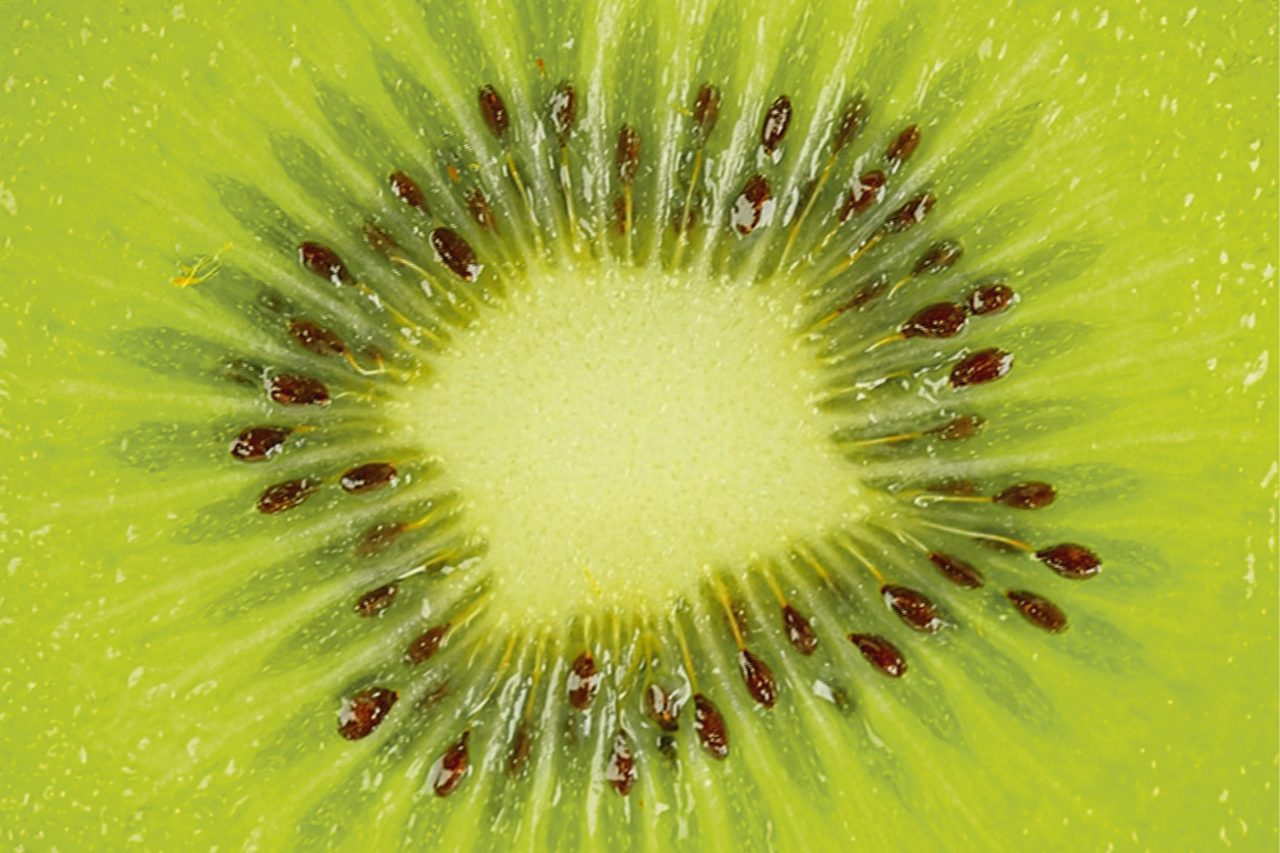 Le kiwi : Petit fruit vert aux grands pouvoirs