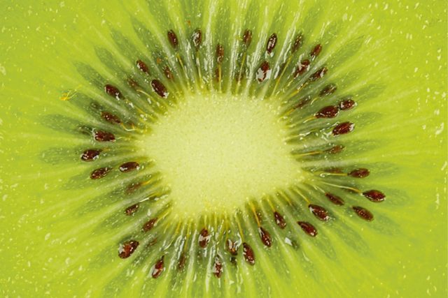 Le kiwi : Petit fruit vert aux grands pouvoirs