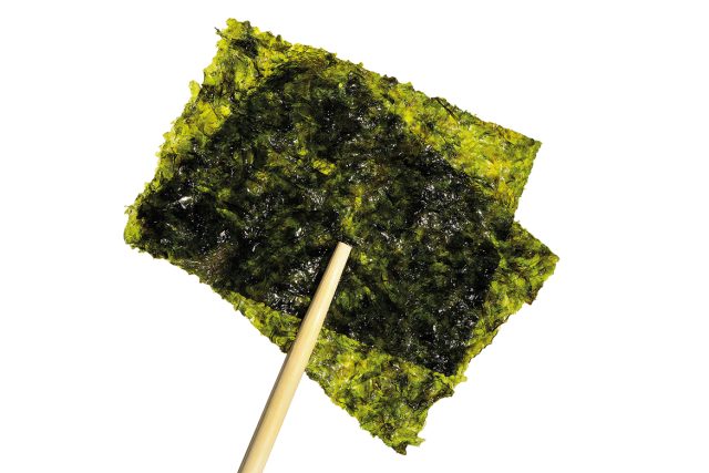 L’algue nori : Petite feuille marine aux grands bienfaits